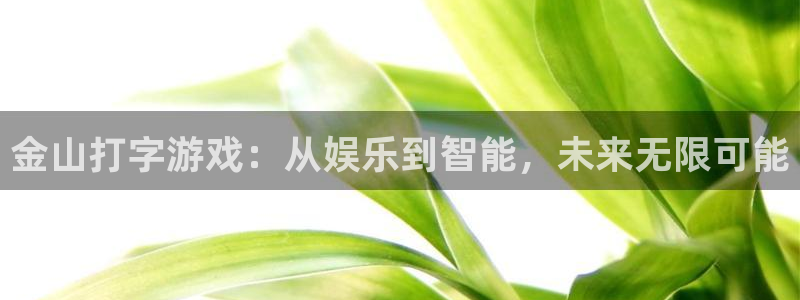 星欧娱乐4招商：金山打字游戏：从娱乐到智能，未来无限可能